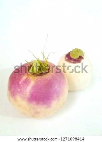 picture of vegetable slgm. white background.