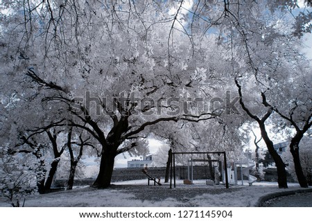 park view with white trees 720nm infrared photo