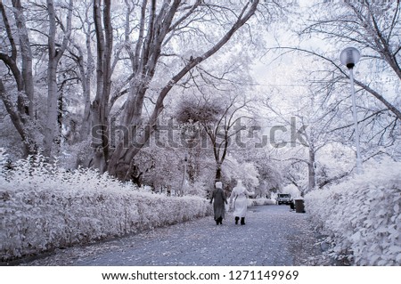 walk on the road together two woman surrounded snowy white foliage 720nm infrared photo