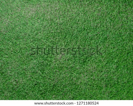 Green grass abstract background or texture. Golf or football field