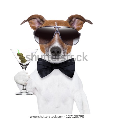 party dog toasting with a martini glass with olives