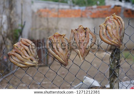 The dried snakehead fish as gift of Mekong Delta