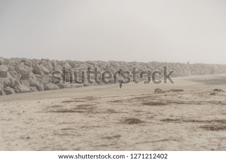 Person walking on beach
