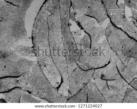 Micrograph of gray cast iron (GCI) shows graphite flakes (dark) in pearlite and alfa ferrite matrix. The micrograph obtained after cutting, polishing and etching and view under optical microscope. Royalty-Free Stock Photo #1271224027