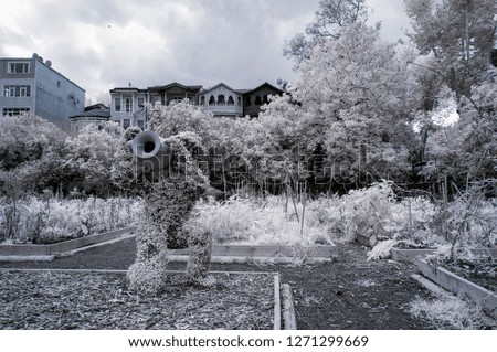 a dolly icon made from foliage decorative garden object 720nm infrared photo