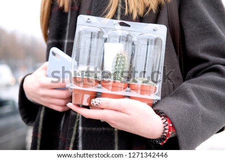 girl with green cacti and a mobile phone in her hands, the theme of house plants and people
