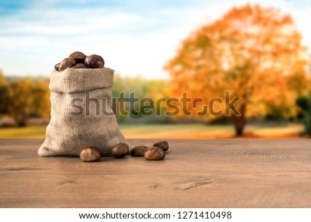 Chestnuts with chestnut tree concept idea photo. Chestnuts are in burlap cotton sack bag and they are on the wooden table.