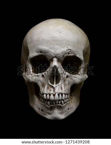 Skull Isolated on black Royalty-Free Stock Photo #1271439208