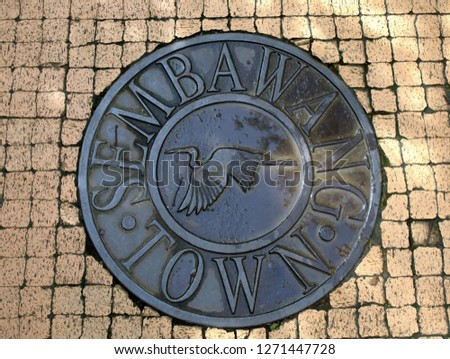 A manhole cover on a pedestrian walkway