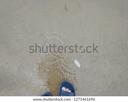 Shoes on the beach are shells background.