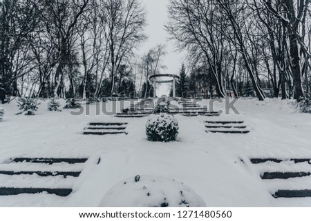 Beautiful winter view of park. Ukraine, Volochysk.