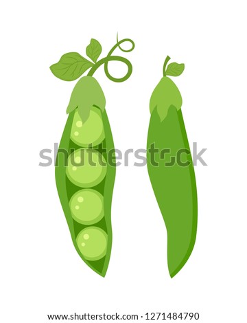 Set of two  green peas isolated on white background vector illustration. Royalty-Free Stock Photo #1271484790