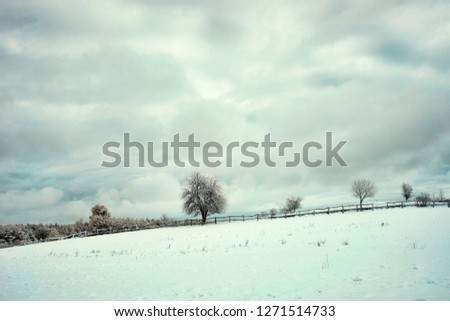 IR - infrared photo - Mazuria, Poland - meadow on the hills