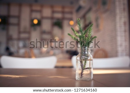 Fir tree branch in bottle vase at coffee cafe.