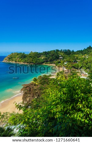 Castara is a small village on the island of Tobago in the West Indies, Caribbean. Deep blue sky, rain forests and azure blue seas.  Often called the Robinson Crusoe island.  Portrait, vertical