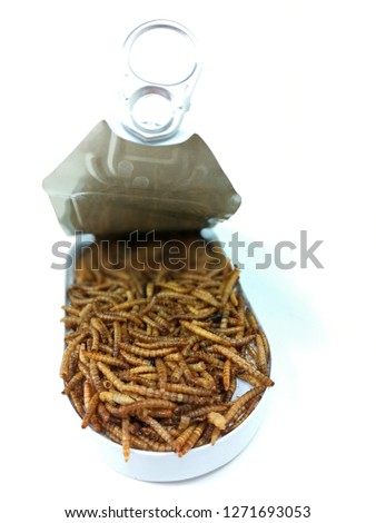 protein source mealworms