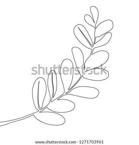 One line drawing tropical branch. Continuous line exotic plant.