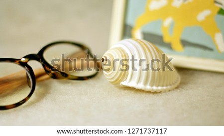 Glasses, scallop and picture in composition on a light background