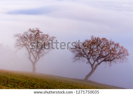 fog at sunset on the hills modena bologna italy