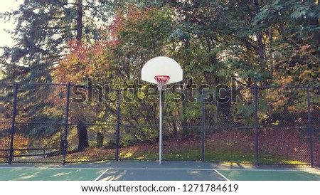 Basketball court by the nature park