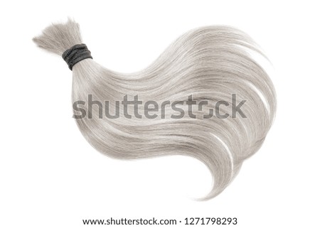 Curl of natural blond hair, isolated on white background. Ponytail close up