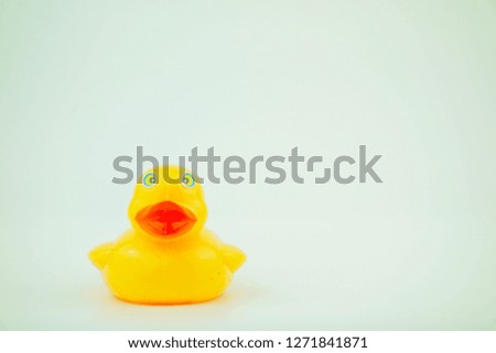 Yellow rubber duck on white background.