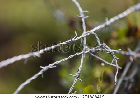 Messy barbed wire tangled together on the edge of a farmland fence. 