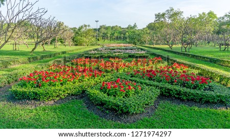 English formal garden style, red Madagascar periwinkle and colorful flowering plant blooming on green leaf of Philippine tea plant border, big trees under blue sky in good care landscaping public park