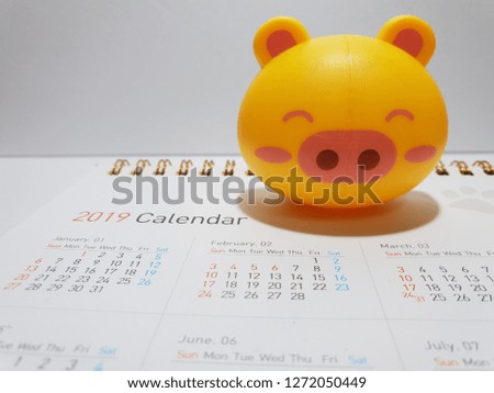 Pig Doll and 2019 Calendar