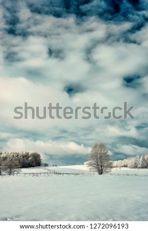 infrared photo - Mazuria, Poland - meadow