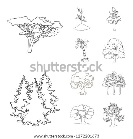 Vector design of tree  and forest logo. Set of tree  and green stock symbol for web.