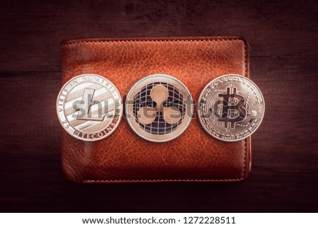 Cryptocurrency Bitcoin. Digital money for banking and international network payment. Wallet with blockchain concept.