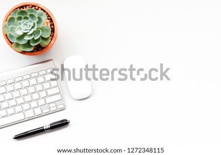 keyboard,mouse computer and Succulent on the white desk copy space for your text