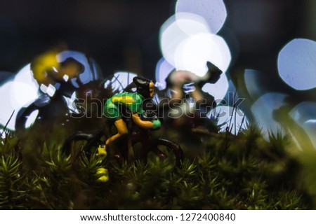 cycling race in the forest nature macro photography human figures concept detail race around
