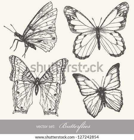 Butterfly set. Insect sketch collection for design and scrapbooking.