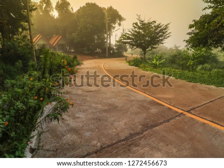 The road in the forest on the misty mountain