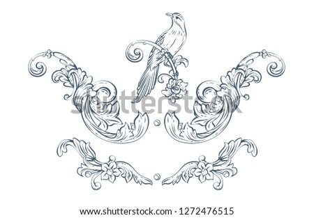 Floral decorative vector elements with bird, rococo and baroque style
