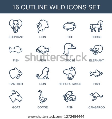 16 wild icons. Trendy wild icons white background. Included outline icons such as elephant, lion, fish, horse, goose, panther, hippopotamus, goat. wild icon for web and mobile.