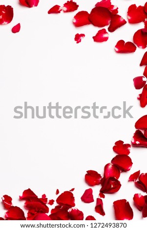 red rose petals frame on white background