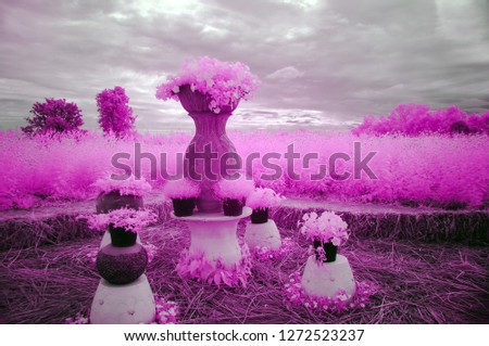 Soft focus,Pink garden from near infrared style by IR mode.garden in paradise concept,Picture process from imagination for background.