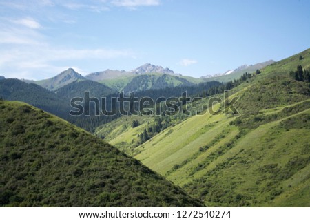 Nature Zhetysu. Alatau Mountains. Kazakhstan.