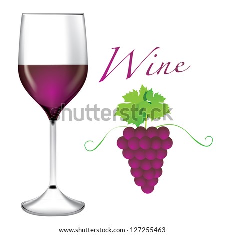 Glass of wine - Bunches of grapes vector