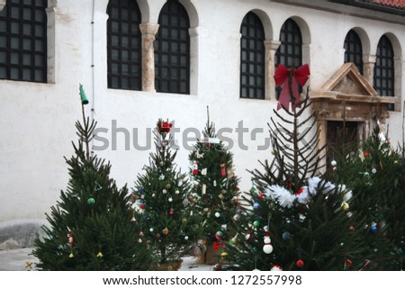 Christmas trees near St. Simon's Church. Zadar. Croatia.