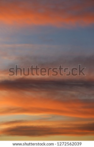 View of a cloudy sky with long pink and purple clouds. Outdoor picture in the evening during a sunset with colorful natural shapes. Bright colors with a blue background.