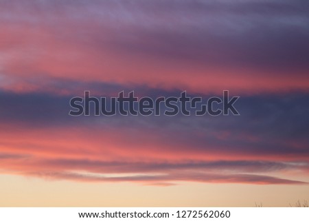 View of a cloudy sky with long pink and purple clouds. Outdoor picture in the evening during a sunset with colorful natural shapes. Bright colors with a blue background.