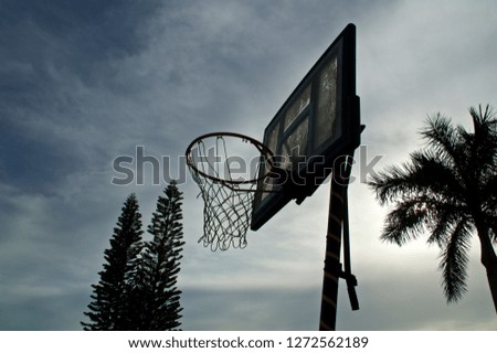 Looking up at an old basketball hoop against a tropical morning sky with pine and palm trees and clouds.