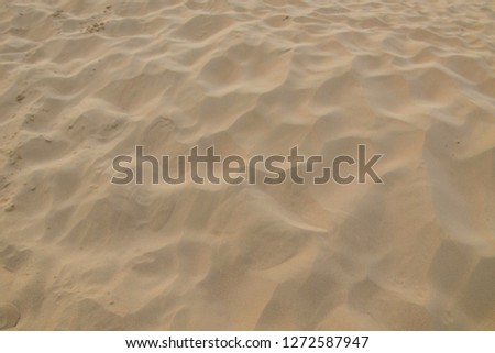 sand texture of dubai desert
