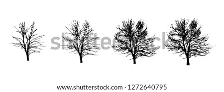 Black tree in four species on a white background, gum