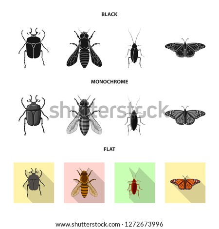 Vector design of insect and fly sign. Collection of insect and element stock symbol for web.