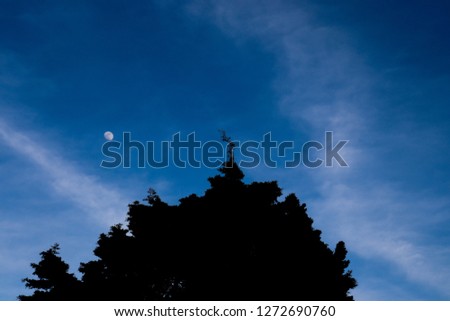 Blue twilight moon